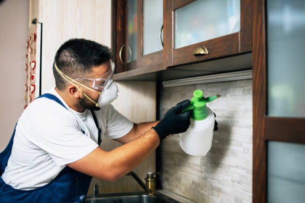 Best Pest Control for Homes  in Bloomfield Hills, MI