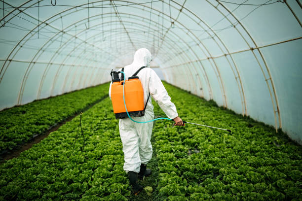 Best Pest Removal Services  in Bloomfield Hills, MI
