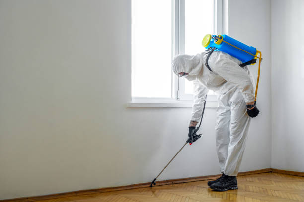 Best Pest Removal Services  in Bloomfield Hills, MI