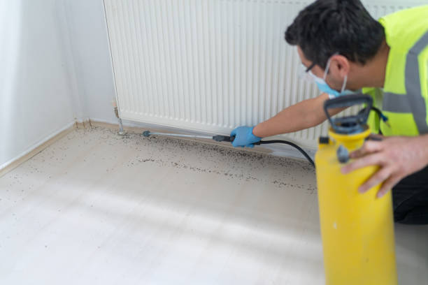 Best Pest Control for Businesses  in Bloomfield Hills, MI