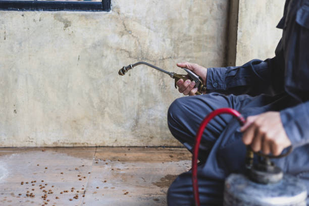 Best Rat Extermination Near Me  in Bloomfield Hills, MI